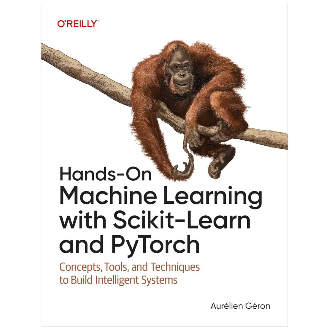 Hands-On Machine Learning with Scikit-Learn and PyTorch: Concepts, Tools, and Techniques to Build Intelligent Systems 1st Edition - Paperback